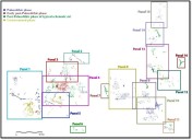 La UNED revela en Tarifa una de las secuencias rupestres más antiguas del sur de Europa