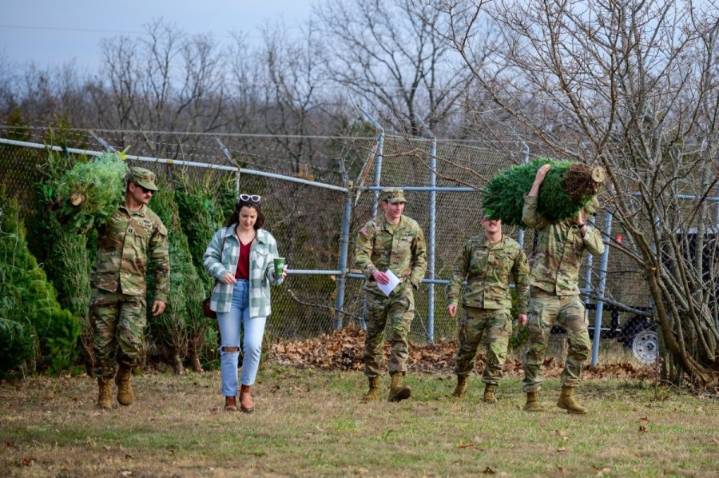 Fort Leonard Wood offers free Christmas trees to troops