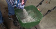 'A little can go a long way': Reminding you road salt can be harmful to WNY waterways