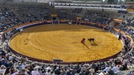 Toros, paella y perritos