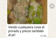 Vendían loros por Facebook en Apóstoles: rescataron dos ejemplares silvestres