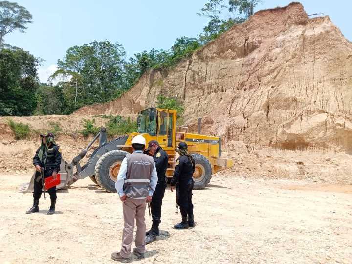 De día se defiende el bosque; de noche se otorgan concesiones: La contradicción es evidente