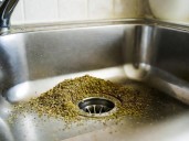 Por qué recomiendan arrojar orégano en el desagüe y qué beneficios tiene