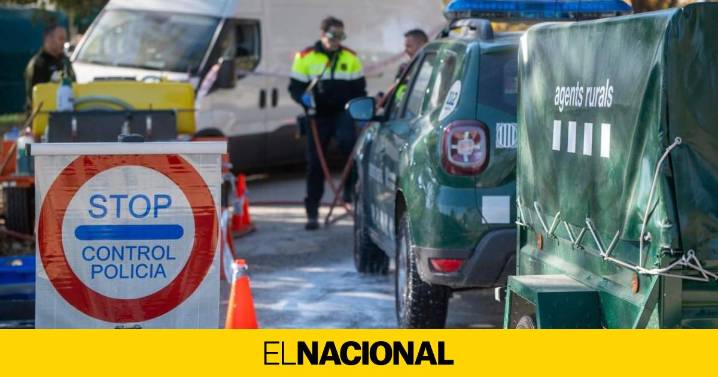 Asedio en Collserola: despliegue masivo para frenar la peste porcina africana