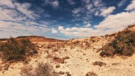 España entra en fase crítica de desertificación: el 40% del territorio muestra señales de degradación acelerada
