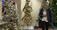 Butte Parade of Trees to raise money for Alzheimers research