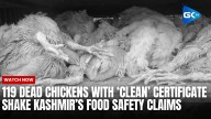119 dead chickens with ‘clean’ certificate shake Kashmir’s food safety claims