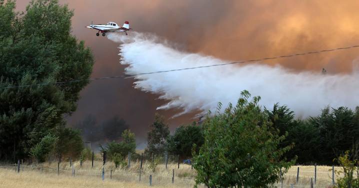 Bomberos y brigadas de Conaf combaten incendio forestal en Limache: ya van 70 hectáreas afectadas