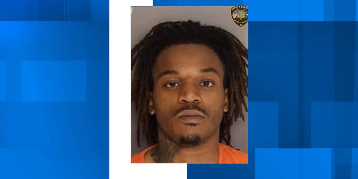 Berkeley County deputies arrest armed suspect after pursuit, K9 track