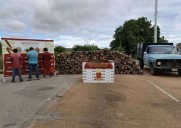 Tres detenidos por talar 4,5 hectáreas de bosque en Anzoátegui