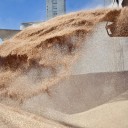 La recaudación cayó casi 9% real en noviembre por las retenciones cero