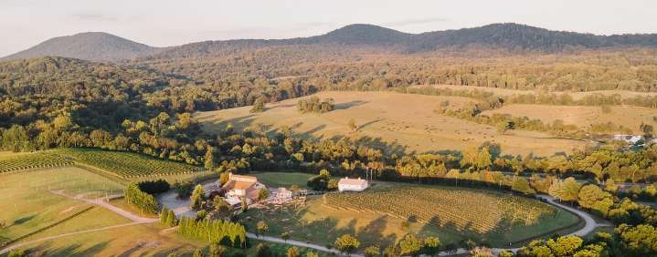 Virginia’s first winery-brewery combo continues to evolve as it looks ahead to 2026