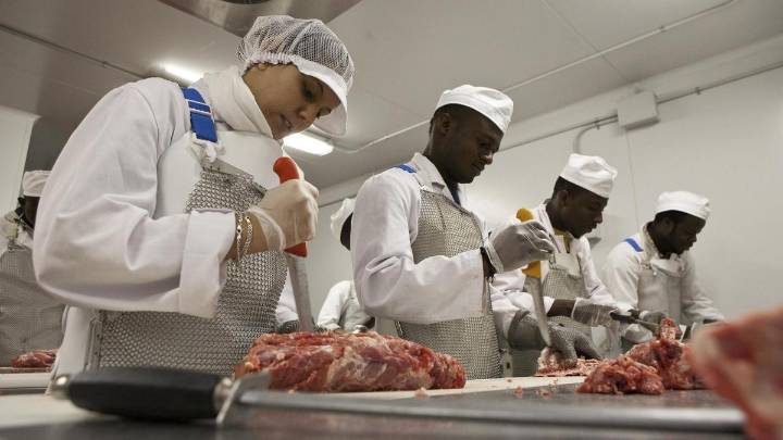 La cifra de titulados en FP de grado medio y superior alcanza su máximo histórico