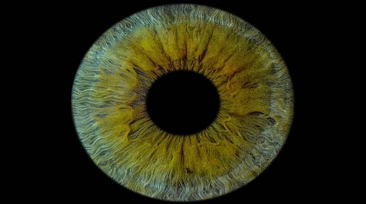 First Human Cornea Transplant Using 3D Printed, Lab-Grown Tissue Restores Sight in a ‘Game Changer’ for Millions Who are Blind