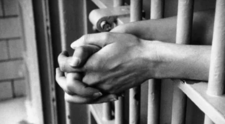 Programa Internacional de Transferencia de Prisioneros