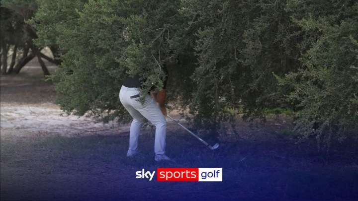 Crown Australian Open: Rory misses ball in a bush!