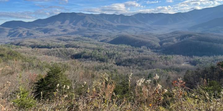 Newfound Gap Road in Great Smoky Mountains closes due to weather, park says