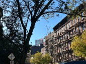 Op-Ed | Zohran Mamdani’s New York City: Historical lessons from prior governmental schisms