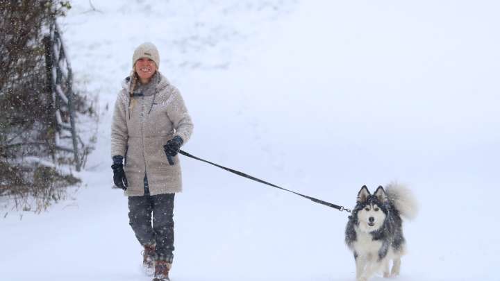 See how December 2025's first snow storm impacted Dutchess County