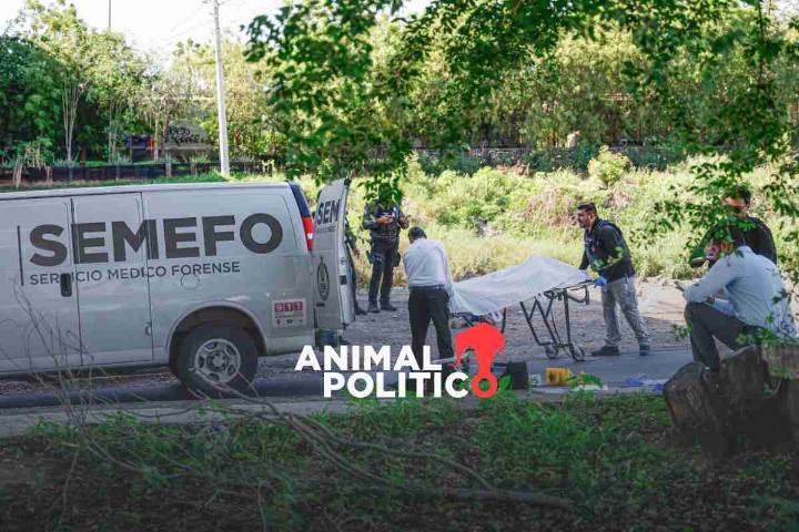 Violencia letal crece en México y se concentra en cinco puntos rojos, señala informe