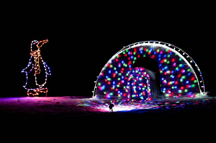 Alameda Park lit up for holidays