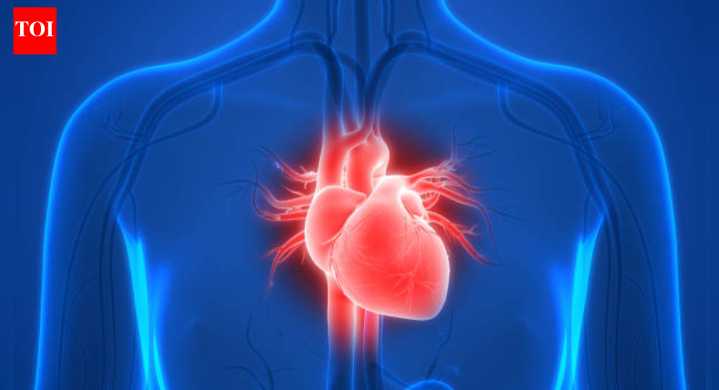 The winter emergency surge: Doctor explains how brain stroke, heart, and lung cases peak together