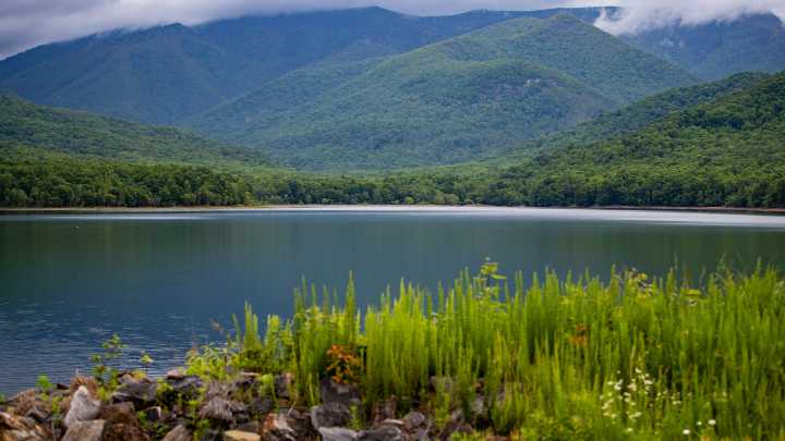 Asheville's temporary water pretreatment systems have…