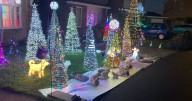 14 photos of Yorkshire street that goes all out for Christmas