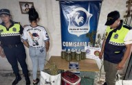Banda del Río Salí: descubren un cultivo indoor de marihuana