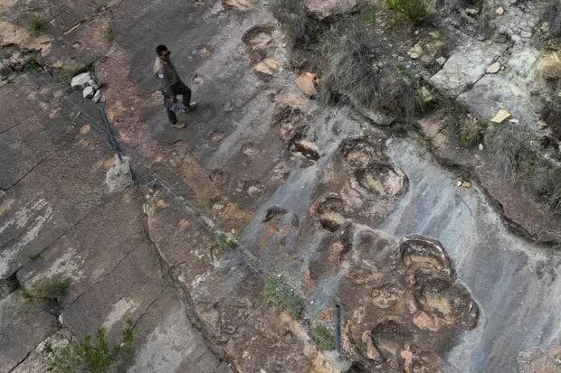 Fossil footprints found in Bolivia reveal dinosaurs’ awkward attempts to swim