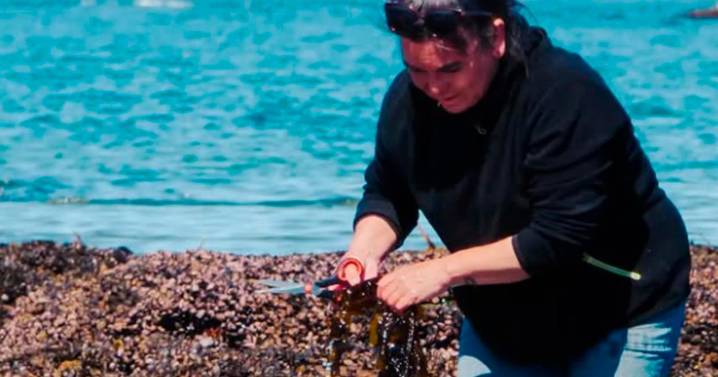 Una cocinera de Chubut usa algas en sus platos: ofrece comidas ricas en nutrientes y combate una especie invasora