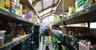 North East foodbanks on vital items that are needed most this Christmas