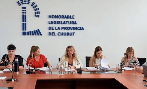 Distintas comisiones se reunieron con la Ministra de Desarrollo Humano, Florencia Papaiani