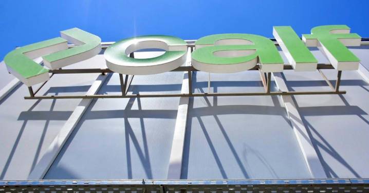 Calf no suspenderá las elecciones de delegados en Neuquén tras el revés judicial