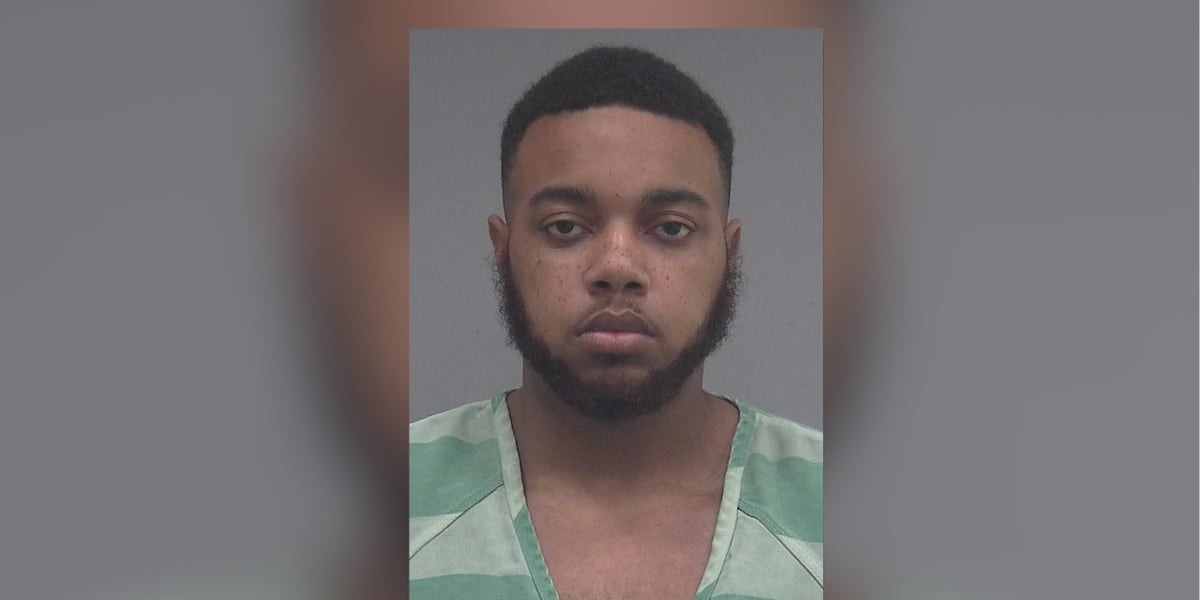 Gainesville felon pleads guilty to possession of meth, firearm