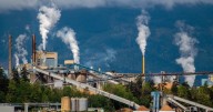 Crofton, B.C., mill closure to result in 350 layoffs