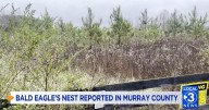Proposed biowaste facility in Murray Co. could threaten bald eagles' nests in the area, residents say