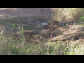 One person's remains found in San Diego home