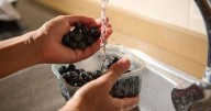 Blueberries stay fresher for longer and help prevent mould with 1 simple item