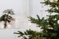 Stop Needle Drop: Keep Your Tree Happy Through the Holidays