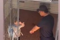 Lucas, una tragedia anunciada: Iba a clase con moretones... cuando iba