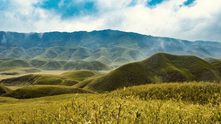 Wildfire sweeps through Nagaland’s Dzukou Valley, threatening key biodiversity zone