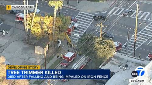 Worker killed, impaled by fence after falling during tree trimming operation in Canoga Park, LAFD says