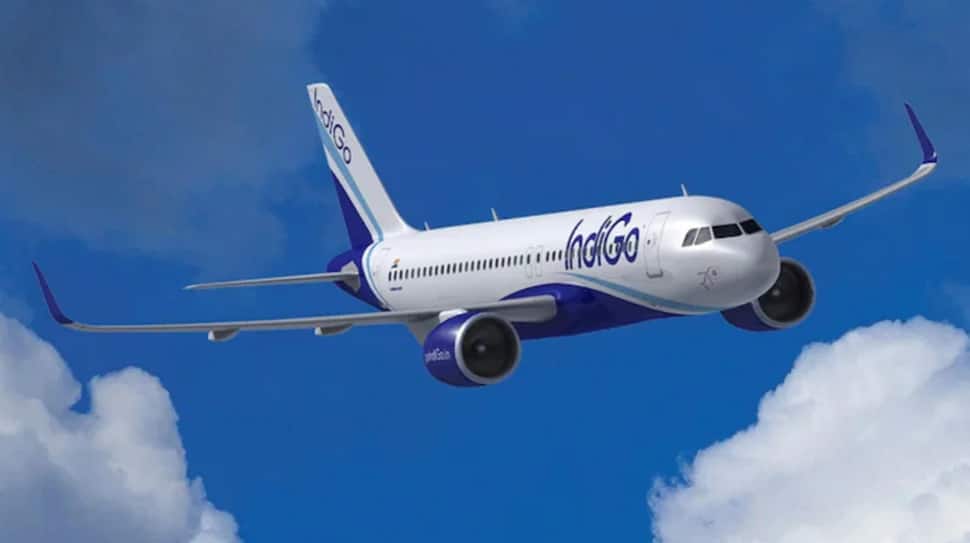 How IndiGo Managed To Hold A Country Of 1.4 Billion People Hostage, Forced Govt To Bend Rules