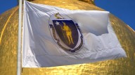 Group working on new state flag design asks for another extension