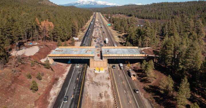 ADOT halting construction of I-17 wildlife overpass for the winter