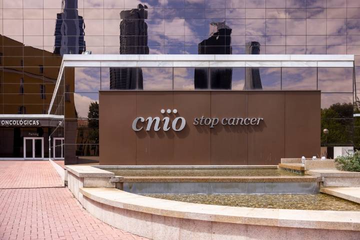 El CNIO será sometido a una auditoría externa debido a su “situación actual”