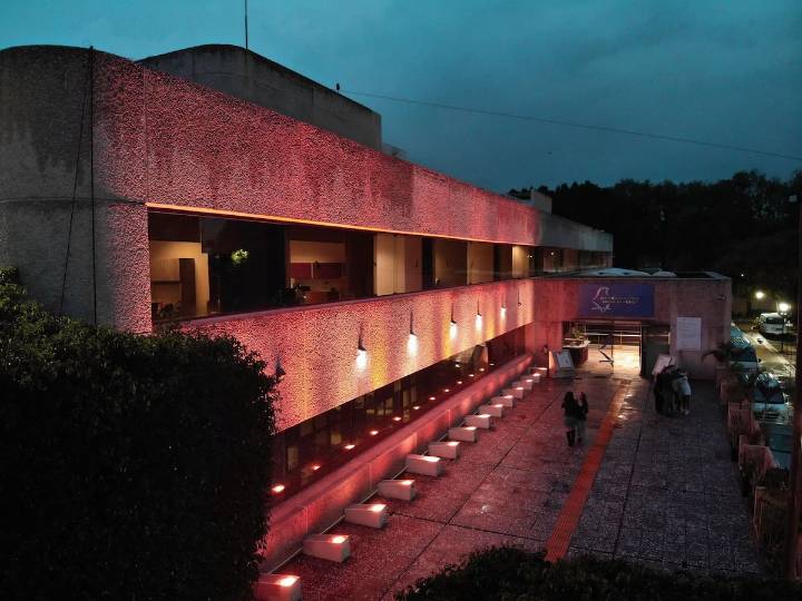 IECM anuncia participación en la campaña internacional “16 Días de Activismo”