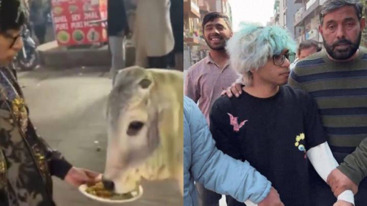 YouTuber arrested for feeding chicken momos to cow, video sparks outrage