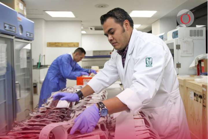 México rompe récord histórico de empleo formal afiliado al IMSS